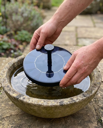 Hands placing solar fountain into a small outdoor basin